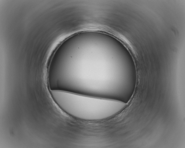 X0000111931472200907271020