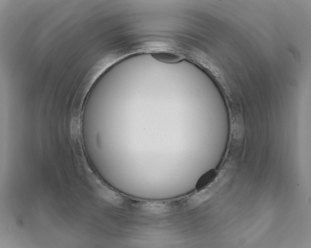 X0000111931473200907271020