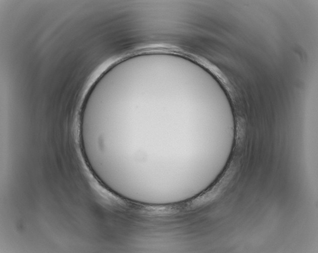 X0000111931474200907271020