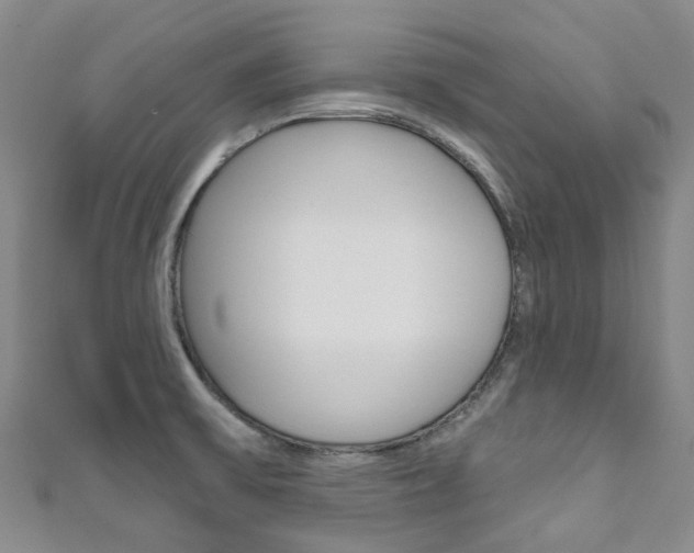 X0000111931475200907271020