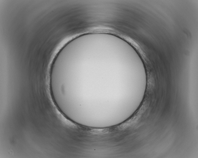 X0000111931478200907271020