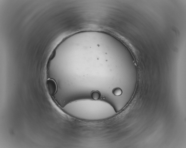 X0000111931479200907271020