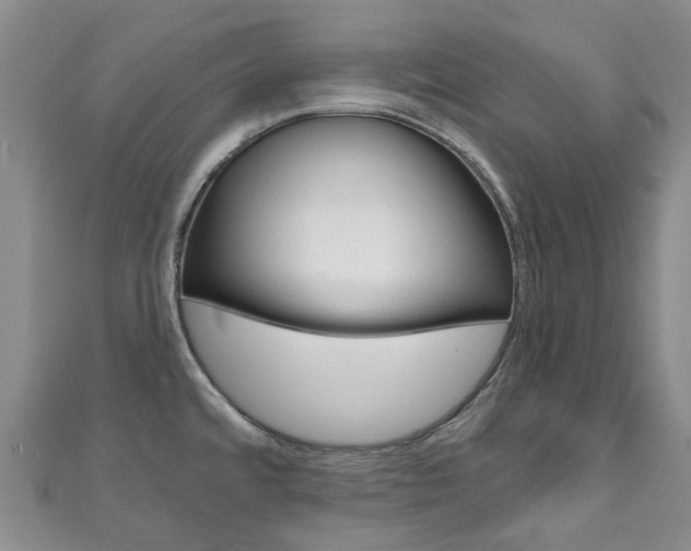 X0000111931480200907271020