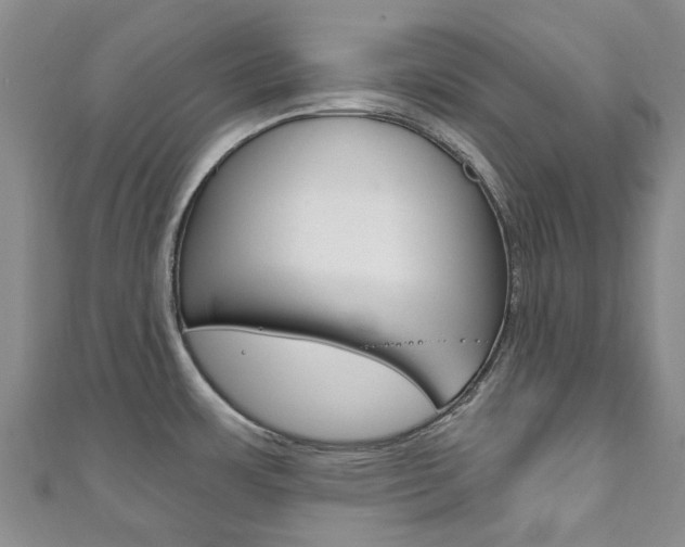 X0000111931483200907271020