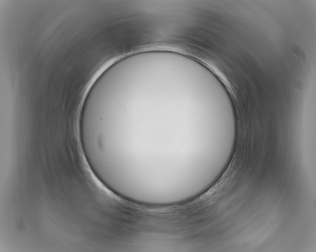 X0000111931484200907271020