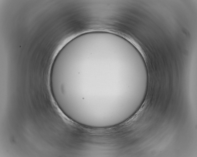X0000111931485200907271020