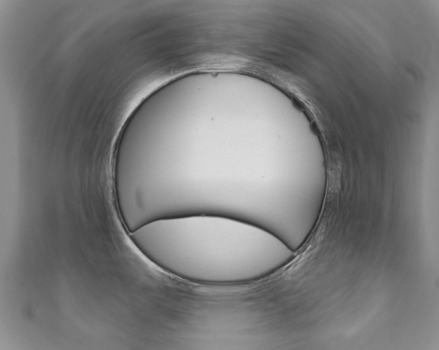 X0000111931487200907271020