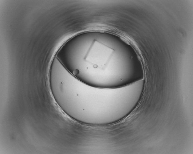 X0000111931488200907271020