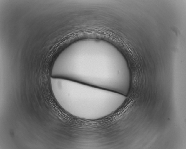 X0000111931490200907271019