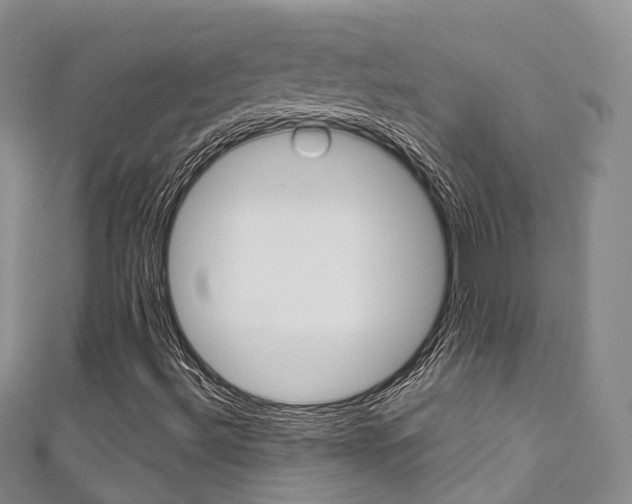 X0000111931492200907271019