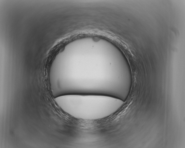 X0000111931494200907271019