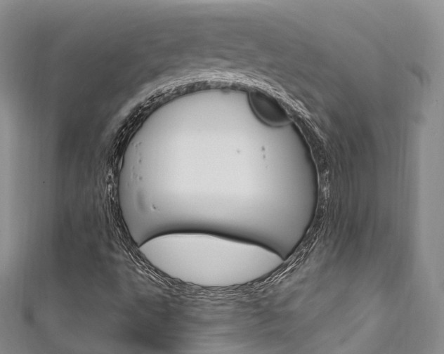 X0000111931495200907271019