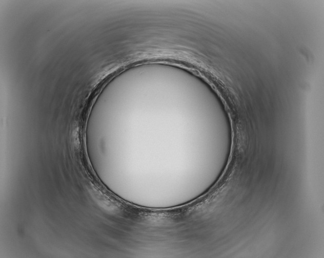 X0000111931497200907271019