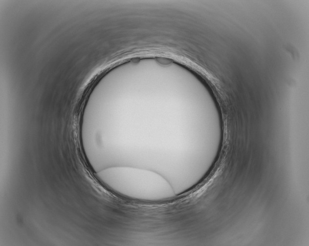 X0000111931498200907271019