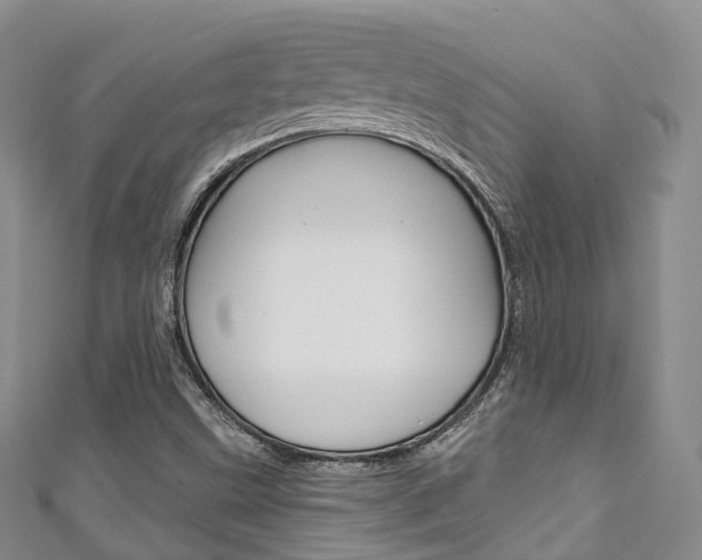 X0000111931499200907271019
