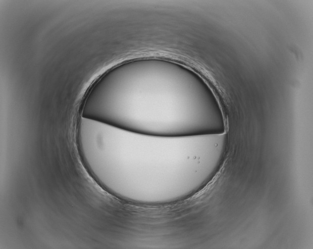 X0000111931500200907271019