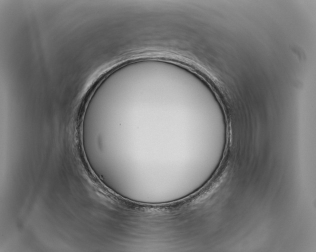 X0000111931501200907271019