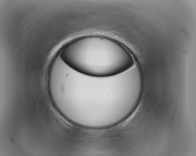 X0000111931502200907271019