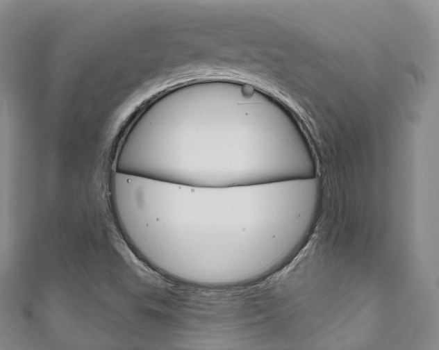 X0000111931503200907271019