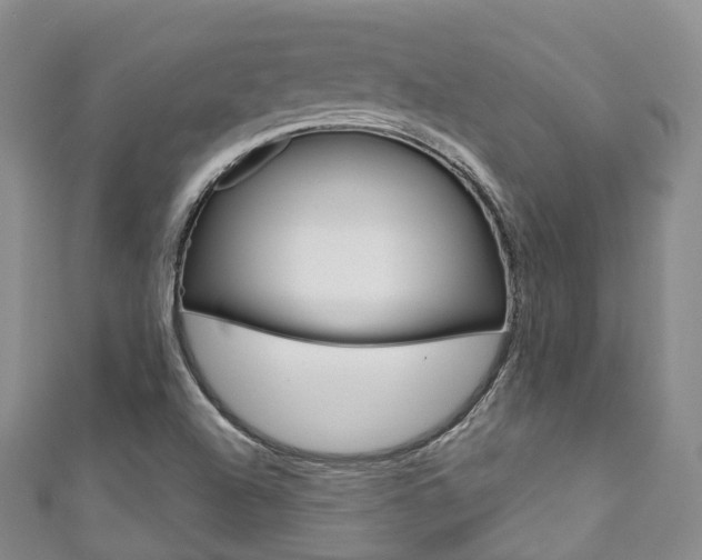 X0000111931504200907271019