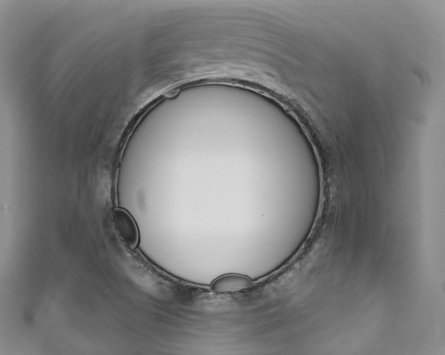 X0000111931505200907271019