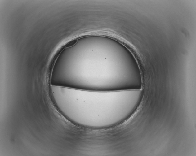 X0000111931506200907271019