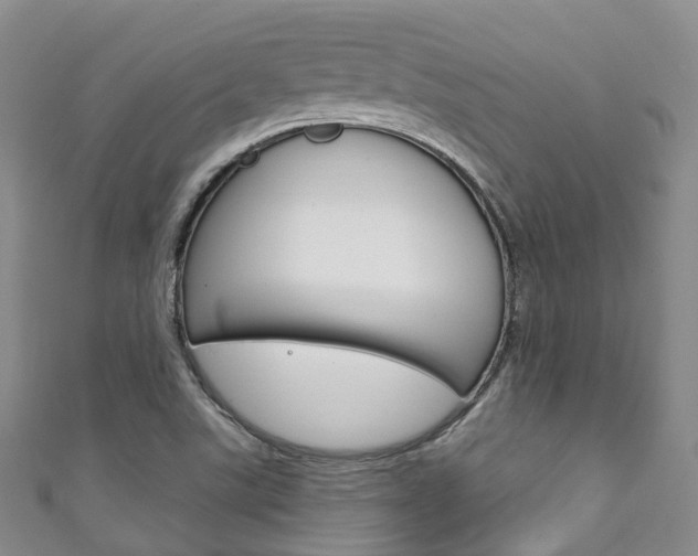 X0000111931507200907271019