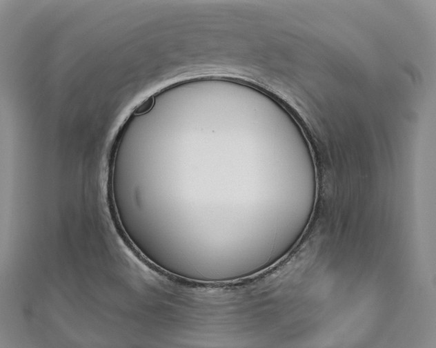X0000111931508200907271019