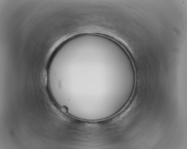 X0000111931509200907271019