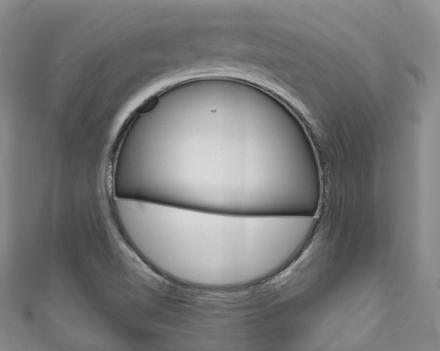 X0000111931510200907271019