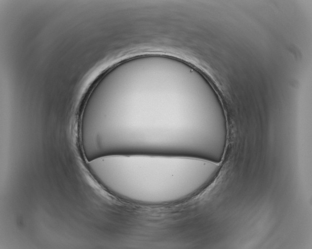 X0000111931511200907271019