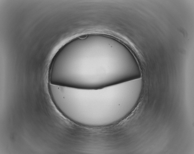 X0000111931512200907271019