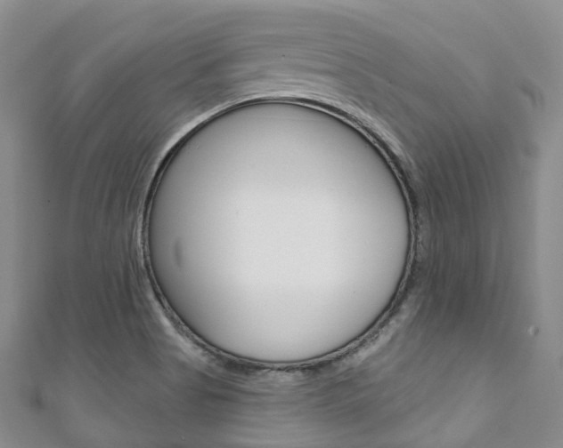 X0000111931513200907271019