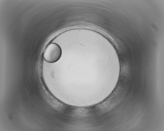 X0000111931514200907271019