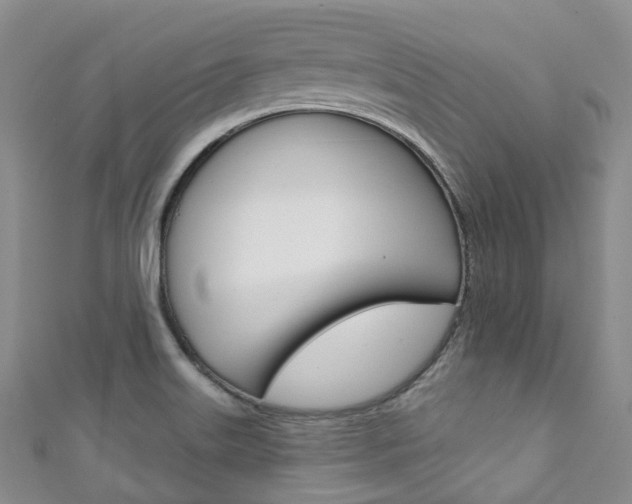 X0000111931515200907271019