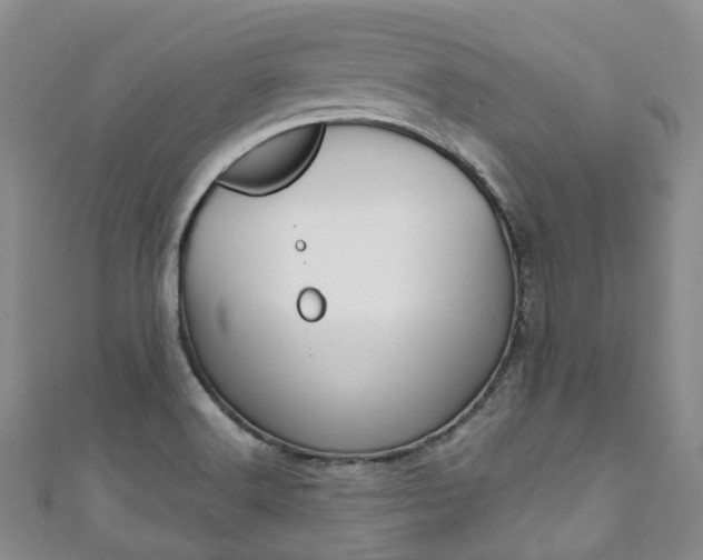 X0000111931516200907271019