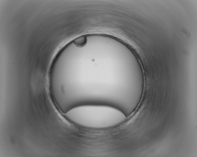 X0000111931517200907271019