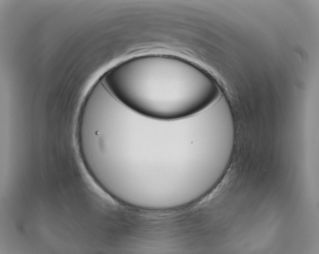 X0000111931518200907271019