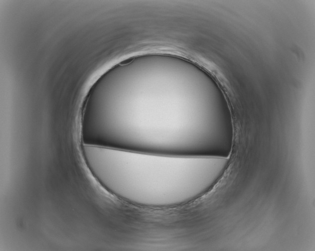 X0000111931520200907271019