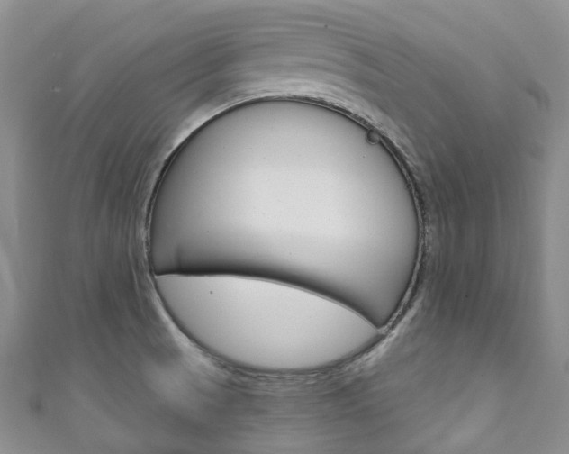 X0000111931521200907271019