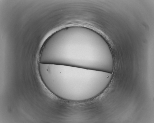 X0000111931522200907271019