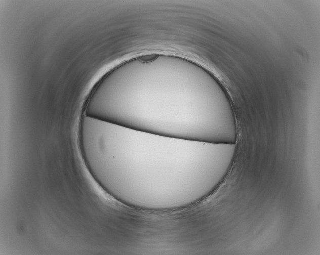X0000111931523200907271019