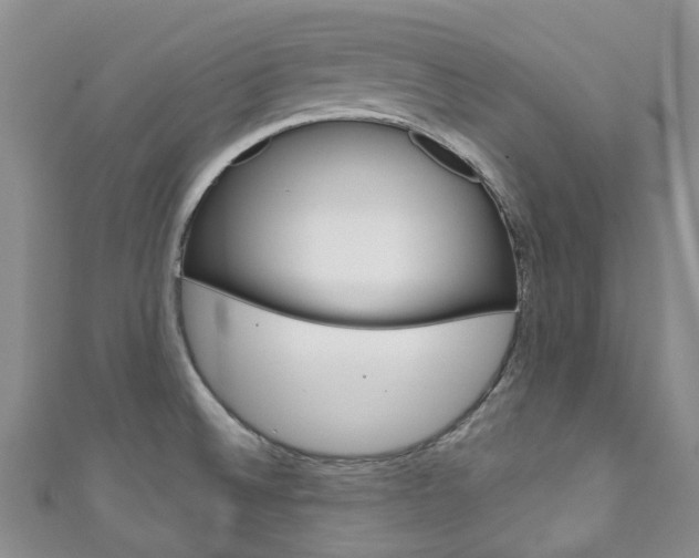 X0000111931524200907271019