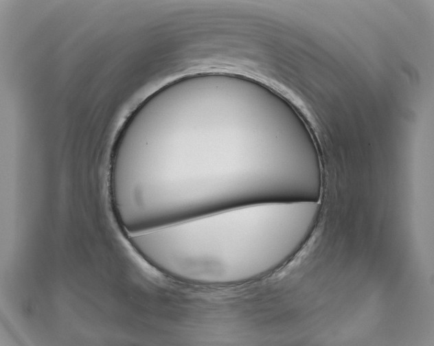 X0000111931525200907271019