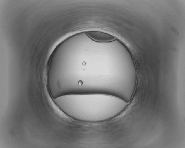 X0000111931526200907271019