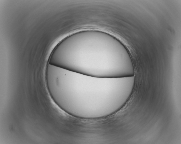 X0000111931527200907271019