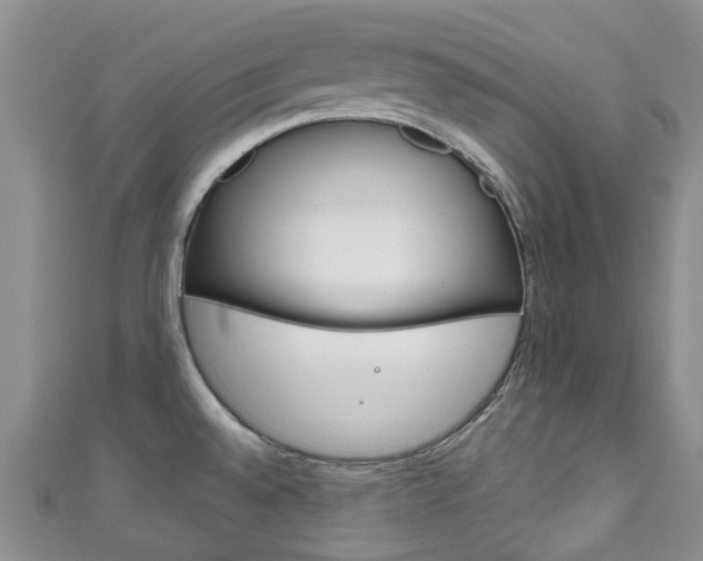 X0000111931528200907271019