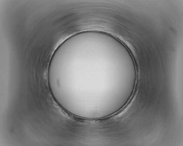 X0000111931529200907271019