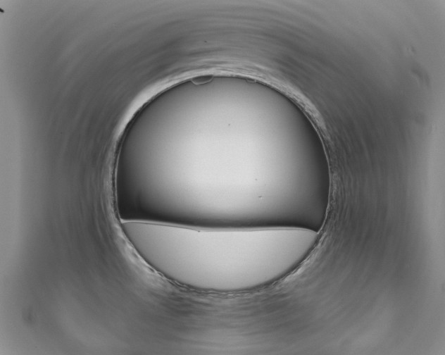 X0000111931530200907271019