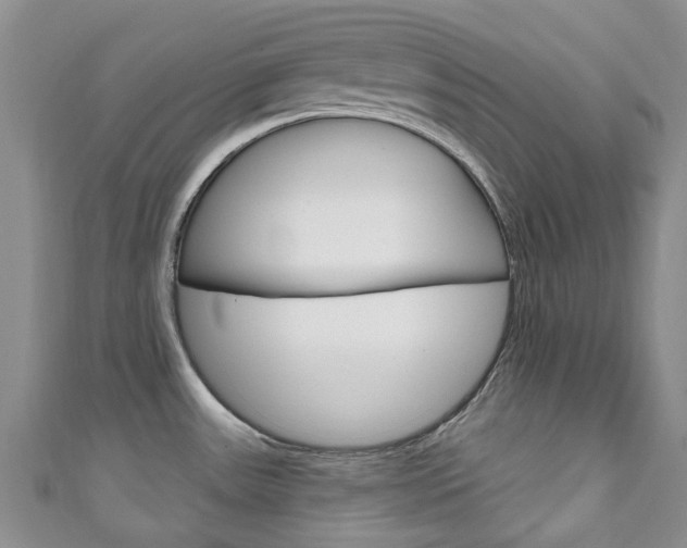 X0000111931531200907271019